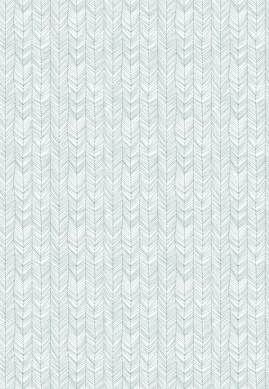 D19 - WINTER 2025 - CLAY TRANSFERS