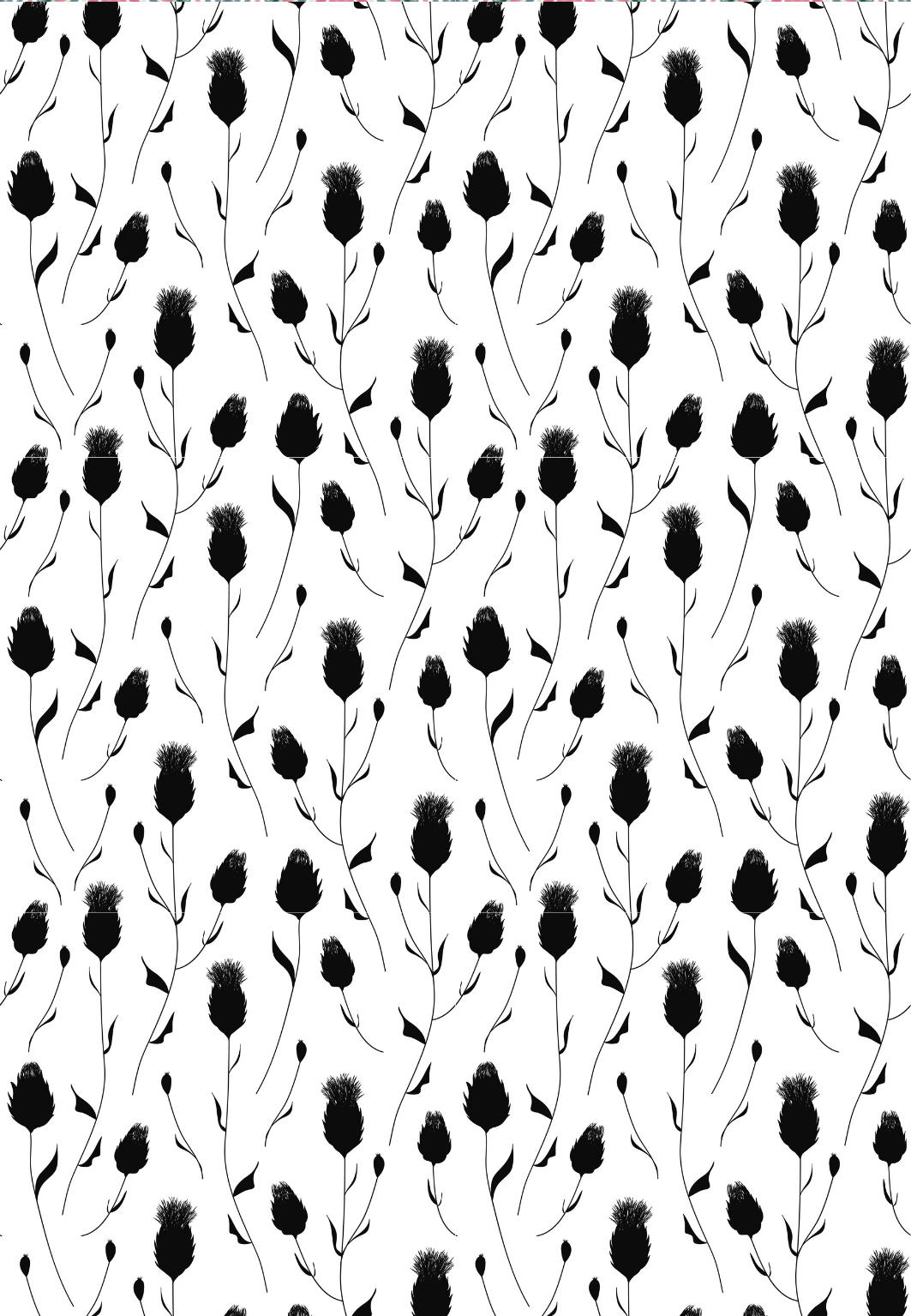 D10 SPRING COLLECTION 2024 - CLAY TRANSFERS