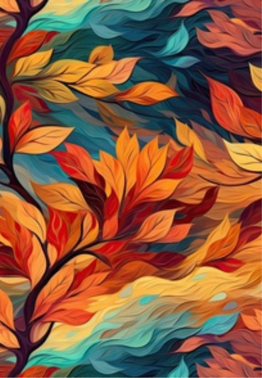 D9 - WINTER 2025 - CLAY TRANSFERS