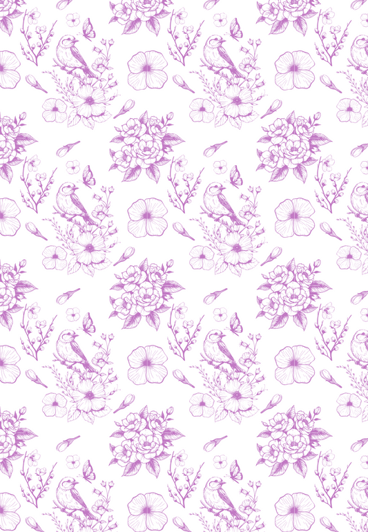 D20 - WINTER 2025 - CLAY TRANSFERS