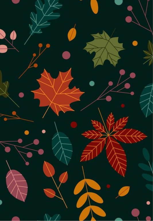 D10 - WINTER 2025 - CLAY TRANSFERS