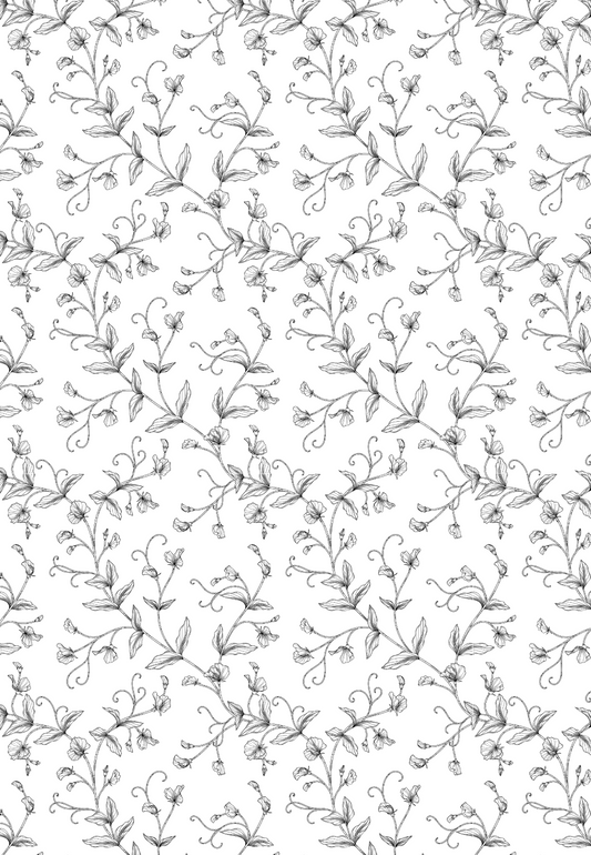 D22 - WINTER 2025 - CLAY TRANSFERS