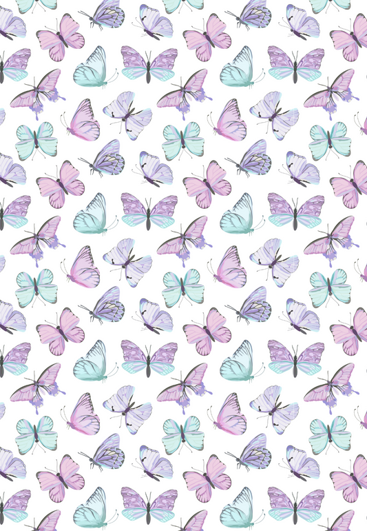 D23 - WINTER 2025 - CLAY TRANSFERS