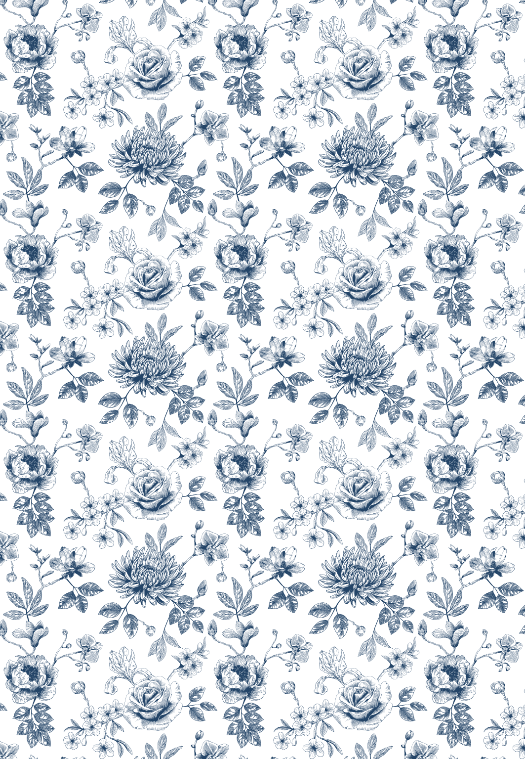 D24 - WINTER 2025 - CLAY TRANSFERS