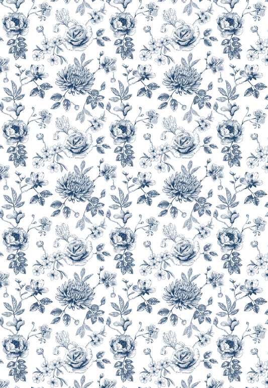 D24 - WINTER 2025 - CLAY TRANSFERS