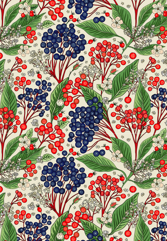 D25 - WINTER 2025 - CLAY TRANSFERS