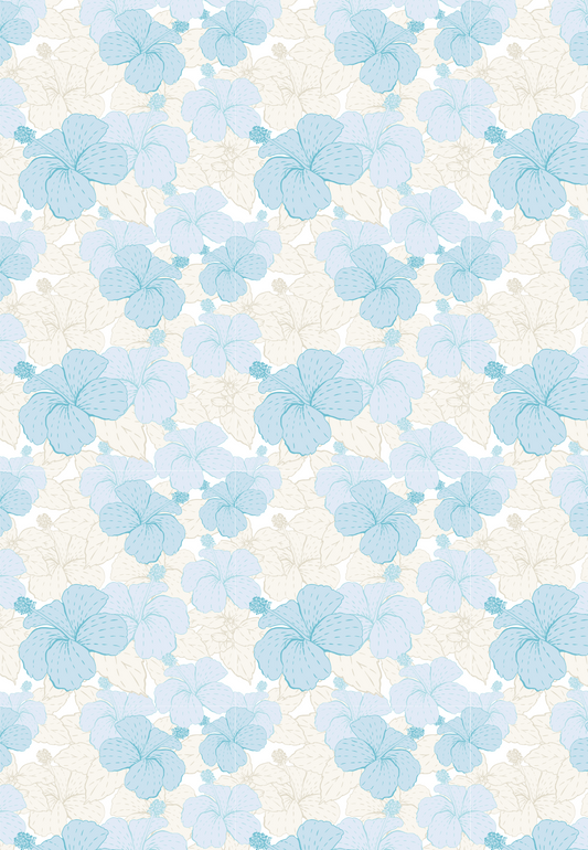 D26 - WINTER 2025 - CLAY TRANSFERS