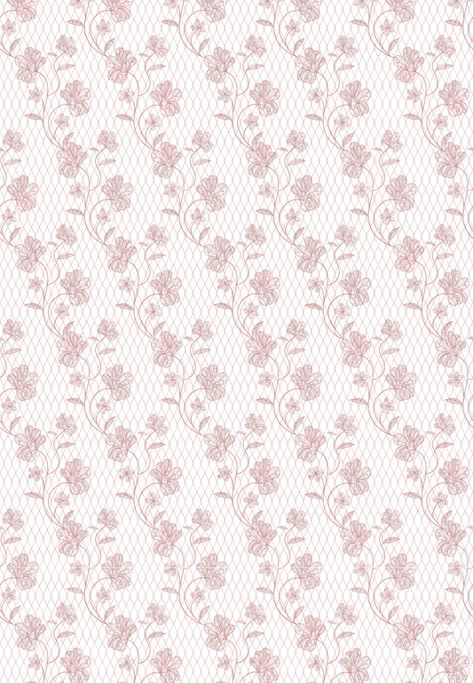 D11 - WINTER 2025 - CLAY TRANSFERS