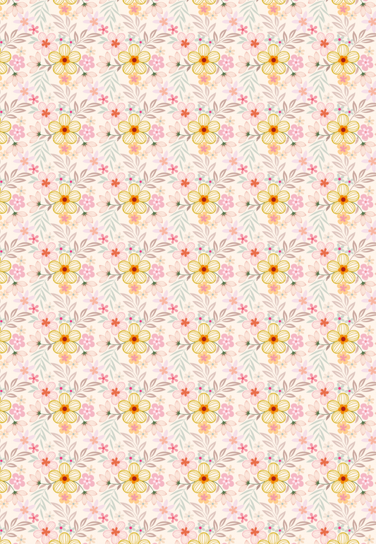 D1 - SPRING 2025 - CLAY TRANSFERS