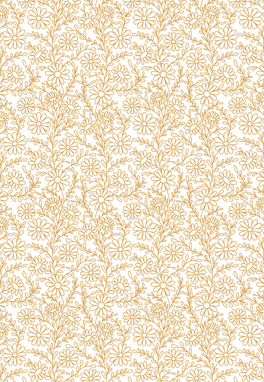 D28 - WINTER 2025 - CLAY TRANSFERS