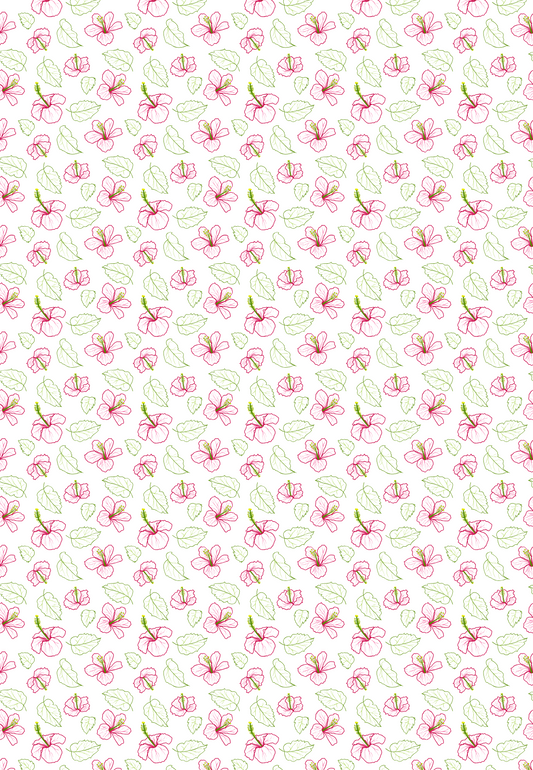 D23 - SPRING 2025 - CLAY TRANSFERS