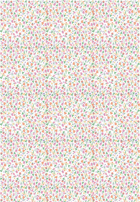 D34 - SPRING 2025 - CLAY TRANSFERS