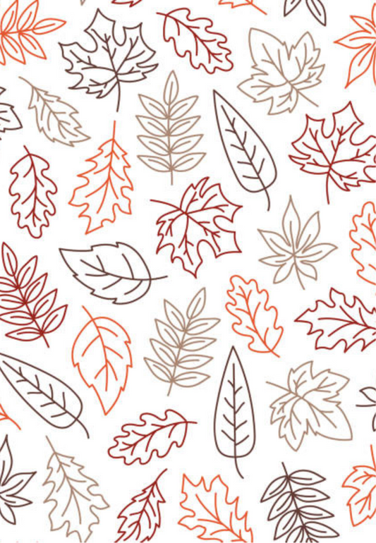 D2 - WINTER 2025 - CLAY TRANSFERS