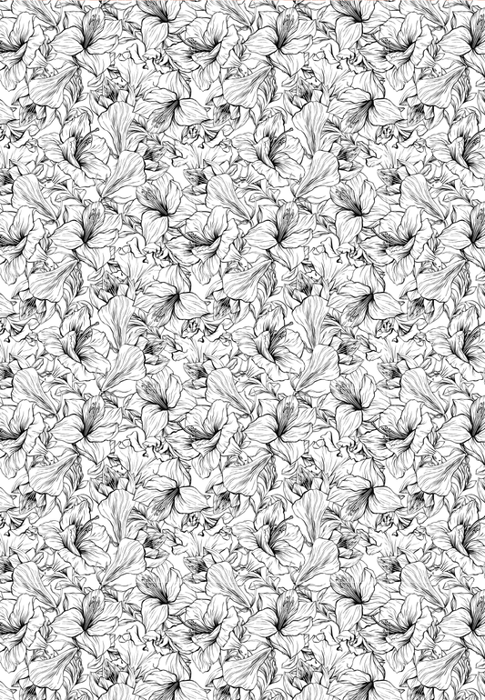 D13 - WINTER 2025 - CLAY TRANSFERS