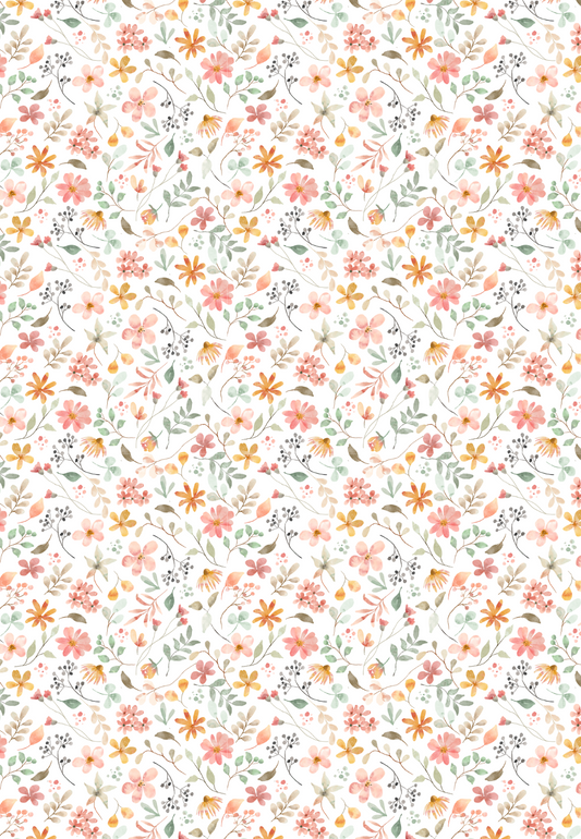 D38 - SPRING 2025 - CLAY TRANSFERS