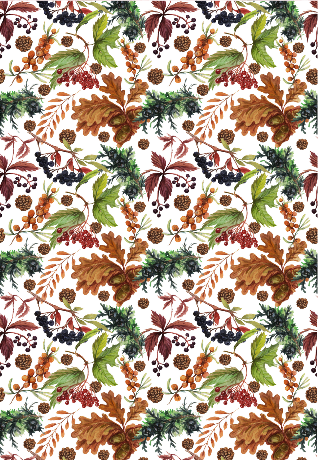 D40 CHRISTMAS COLLECTION 2024 - CLAY TRANSFERS