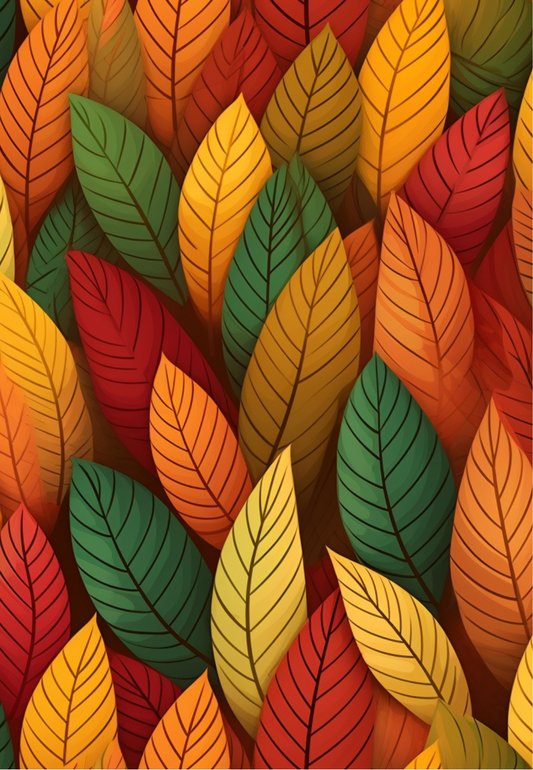 D3 - WINTER 2025 - CLAY TRANSFERS