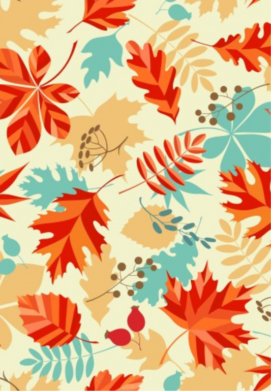 D4 - WINTER 2025 - CLAY TRANSFERS