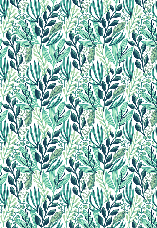 D16 - WINTER 2025 - CLAY TRANSFERS