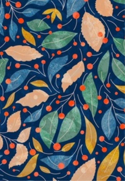 D6 - WINTER 2025 - CLAY TRANSFERS