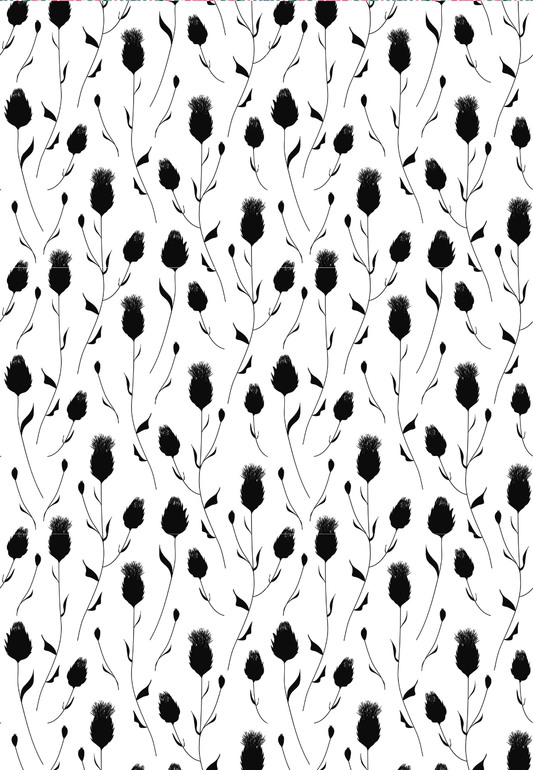 D10 SPRING COLLECTION 2024 - CLAY TRANSFERS