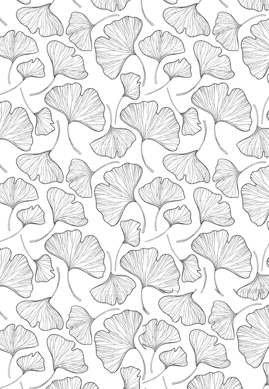 D16 SPRING COLLECTION 2024 - CLAY TRANSFERS