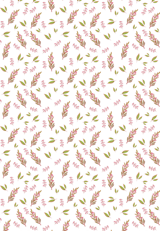 D19 - SPRING 2025 - CLAY TRANSFERS