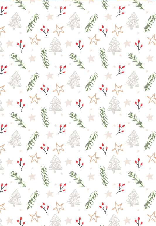 D20 - CHRISTMAS COLLECTION 2025 - POLYMER CLAY TRANSFERS